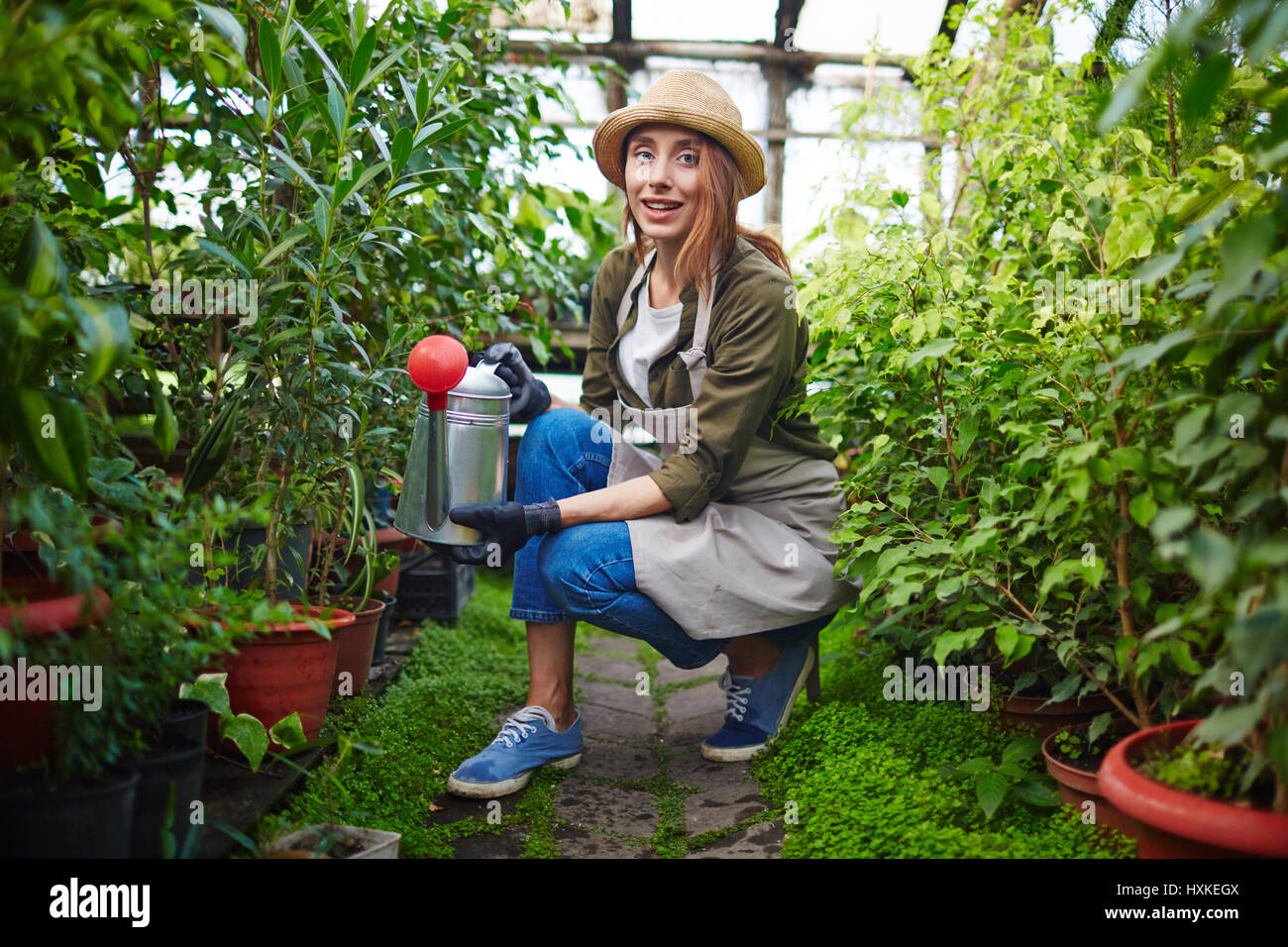 Junge Frau kümmert sich um Pflanzen im Gewächshaus Stockfoto