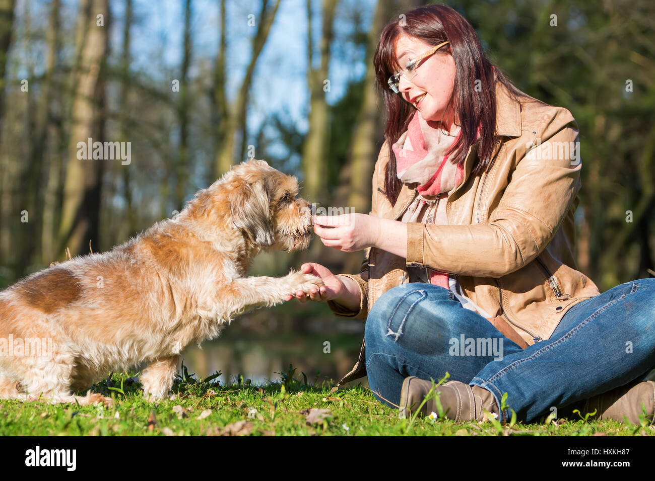 Bild einer Frau geben ihrem Hund ein Vergnügen und immer die Pfote Stockfoto