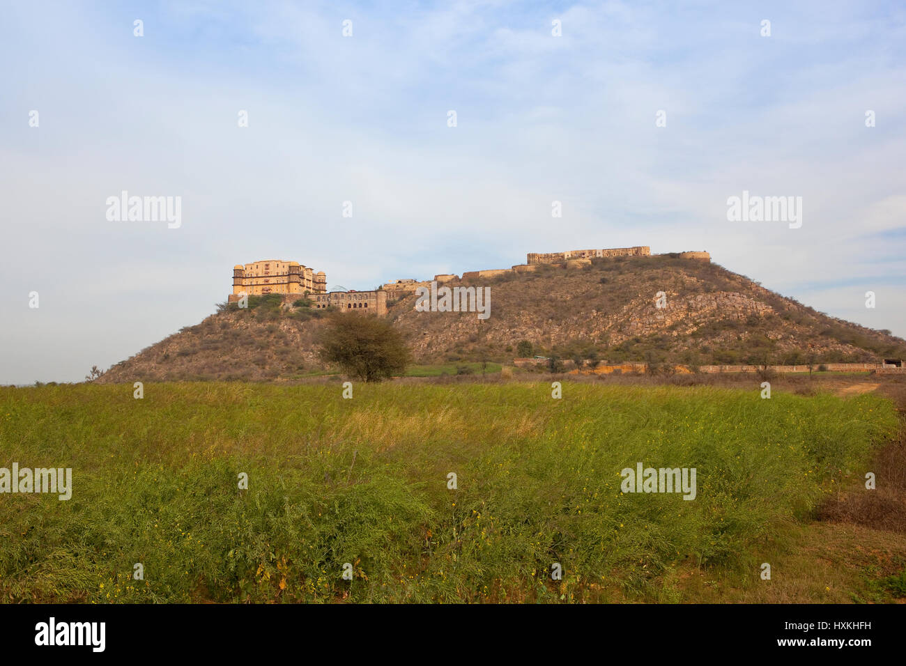 TIJARA Fort Palasthotel auf einem Hügel in der landwirtschaftlichen Umgebung von Rajasthan mit Reifung Senf Anbau unter bewölktem Himmel blau Stockfoto