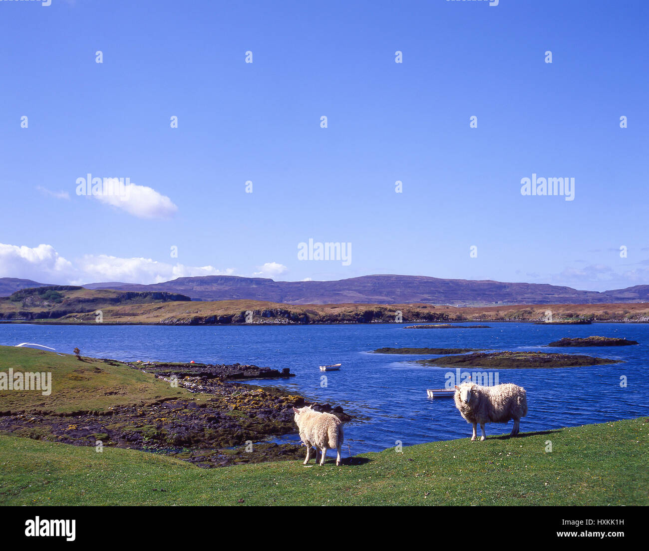 Blick auf den Hafen, Dunvegan, Isle Of Skye, innere Hebriden, Highland, Schottland, Vereinigtes Königreich Stockfoto