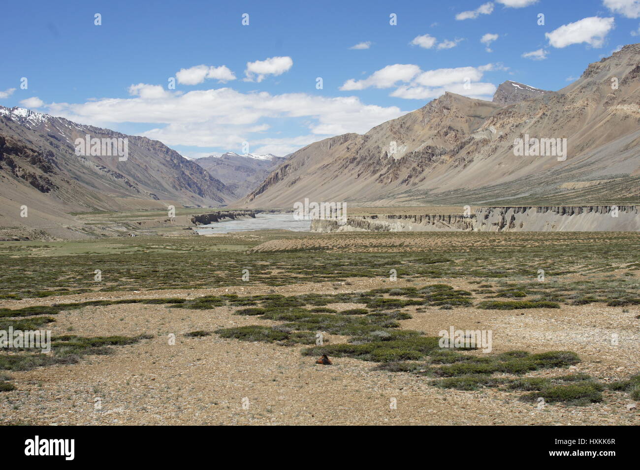 Tsarap Fluss Schmelzwasser und seine Berg-Quelle in Kaschmir, zwischen Sarchu und Pang. Stockfoto