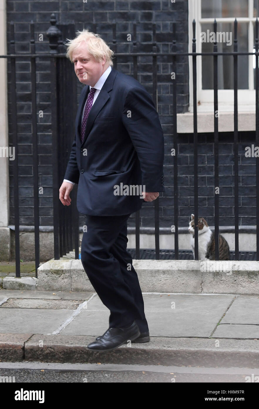 Außenminister Boris Johnson geht vorbei an Larry die Katze draußen 10 Downing Street, London, nach der wöchentlichen Kabinettssitzung. Stockfoto