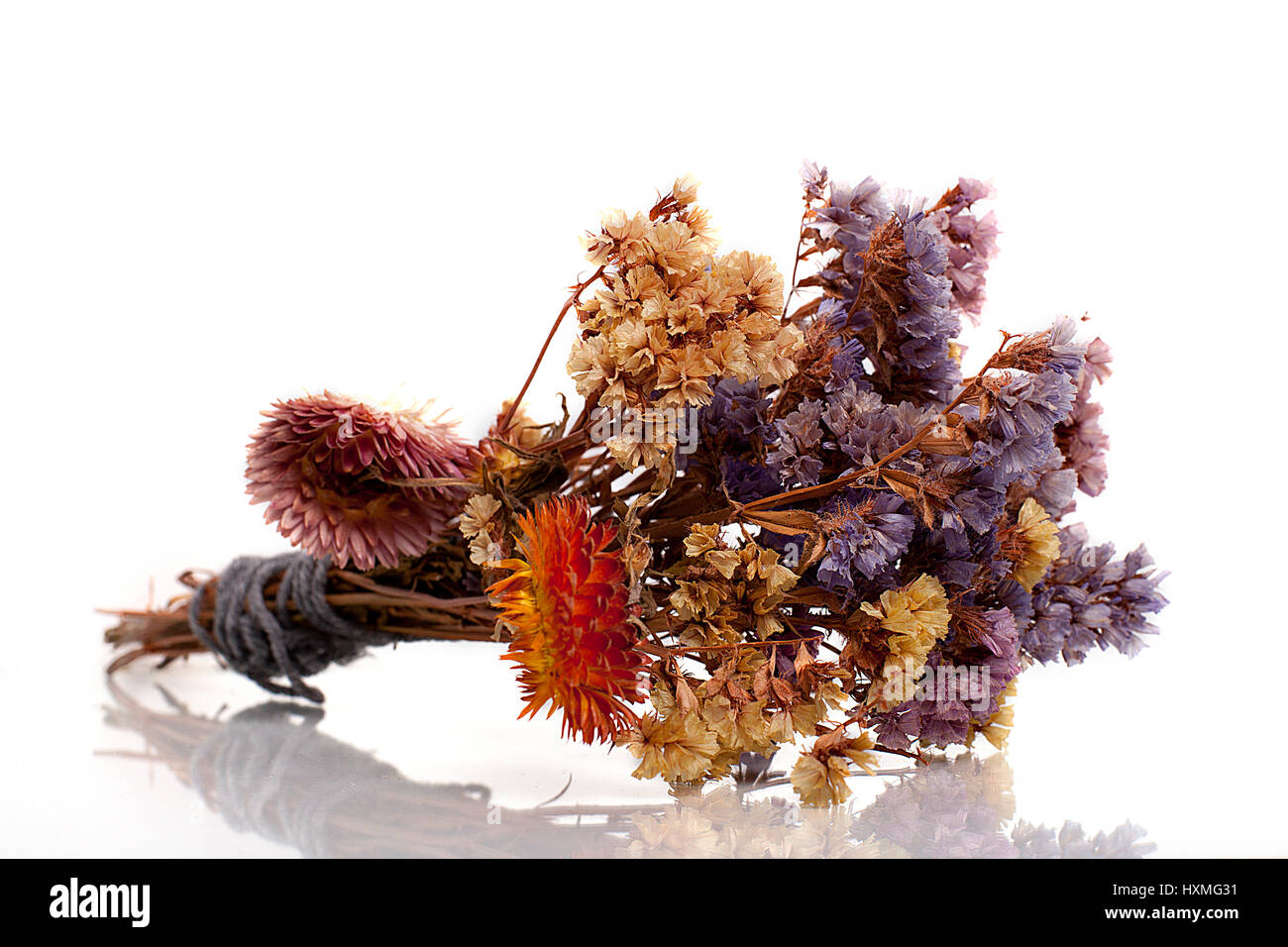Bouquet von getrockneten Wiesenblumen isoliert auf weißem Hintergrund. Stockfoto