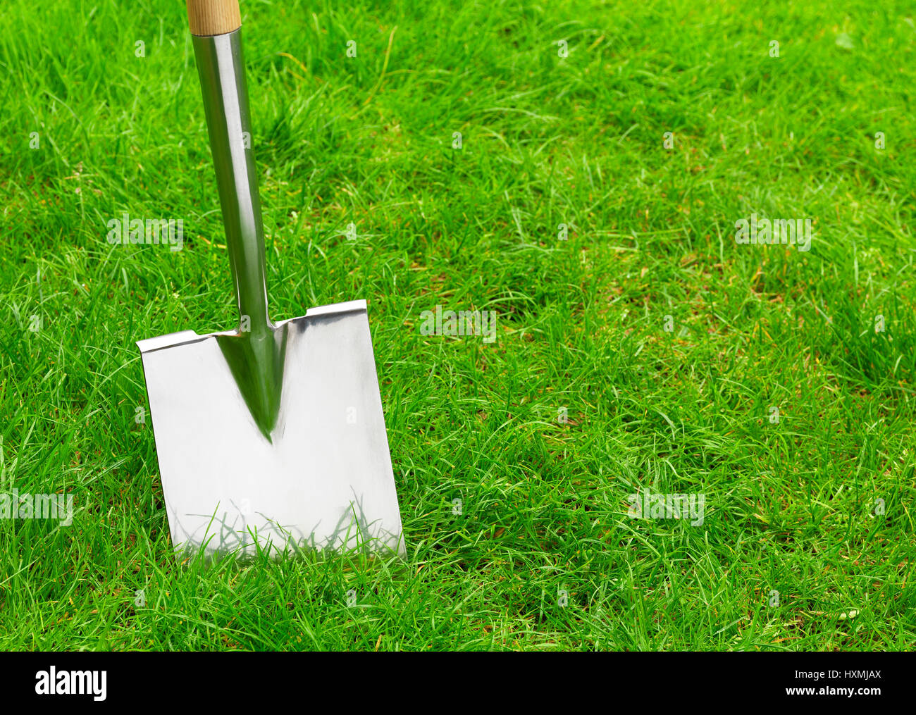 Gelbe Gummiente in Bad Stockfoto