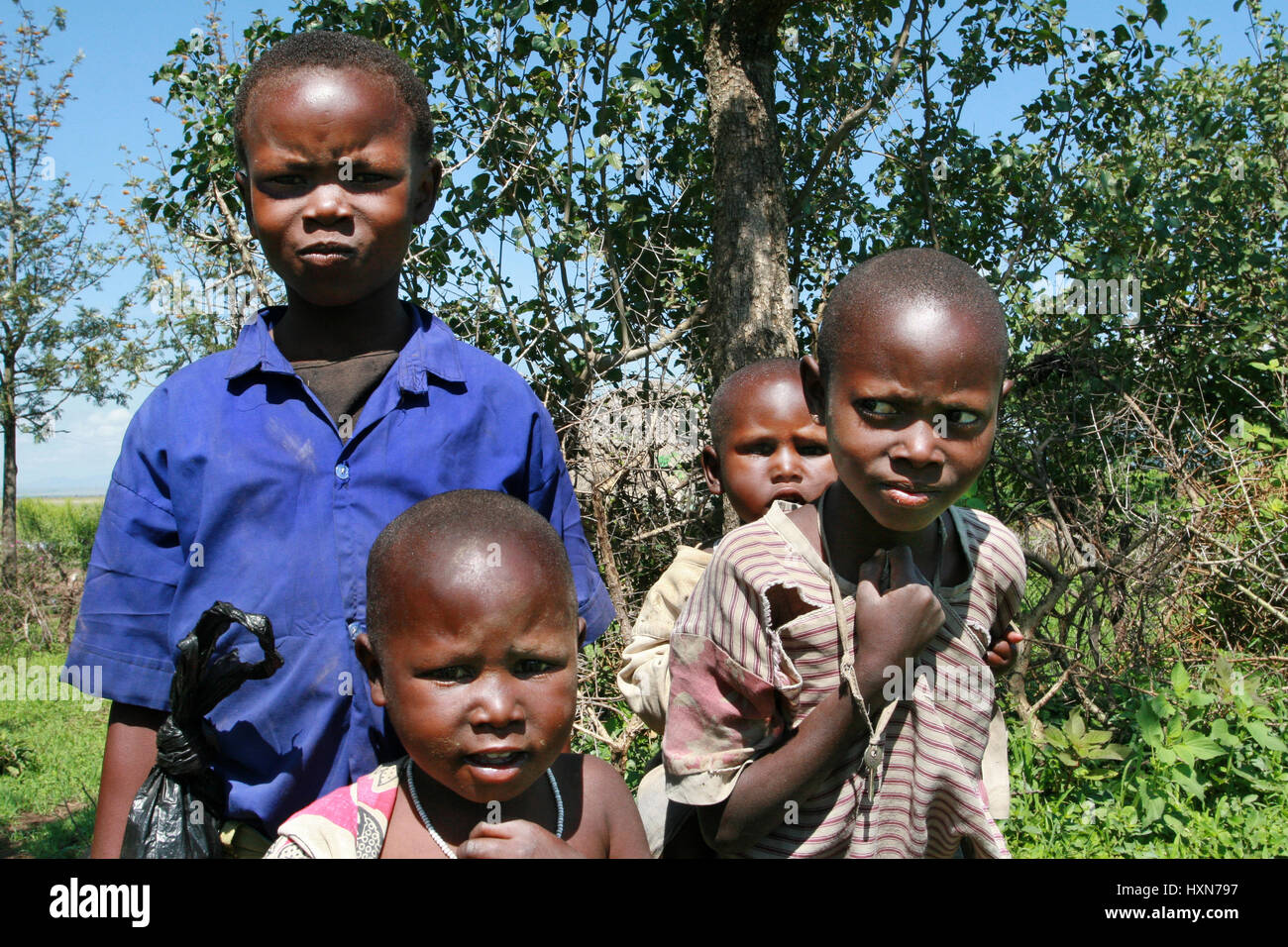 Meserani Snake Park, Arusha, Tansania - 14. Februar 2008: Mehrere afrikanische schwarze Kinder Maasai in zerlumpten Kleidern. Stockfoto