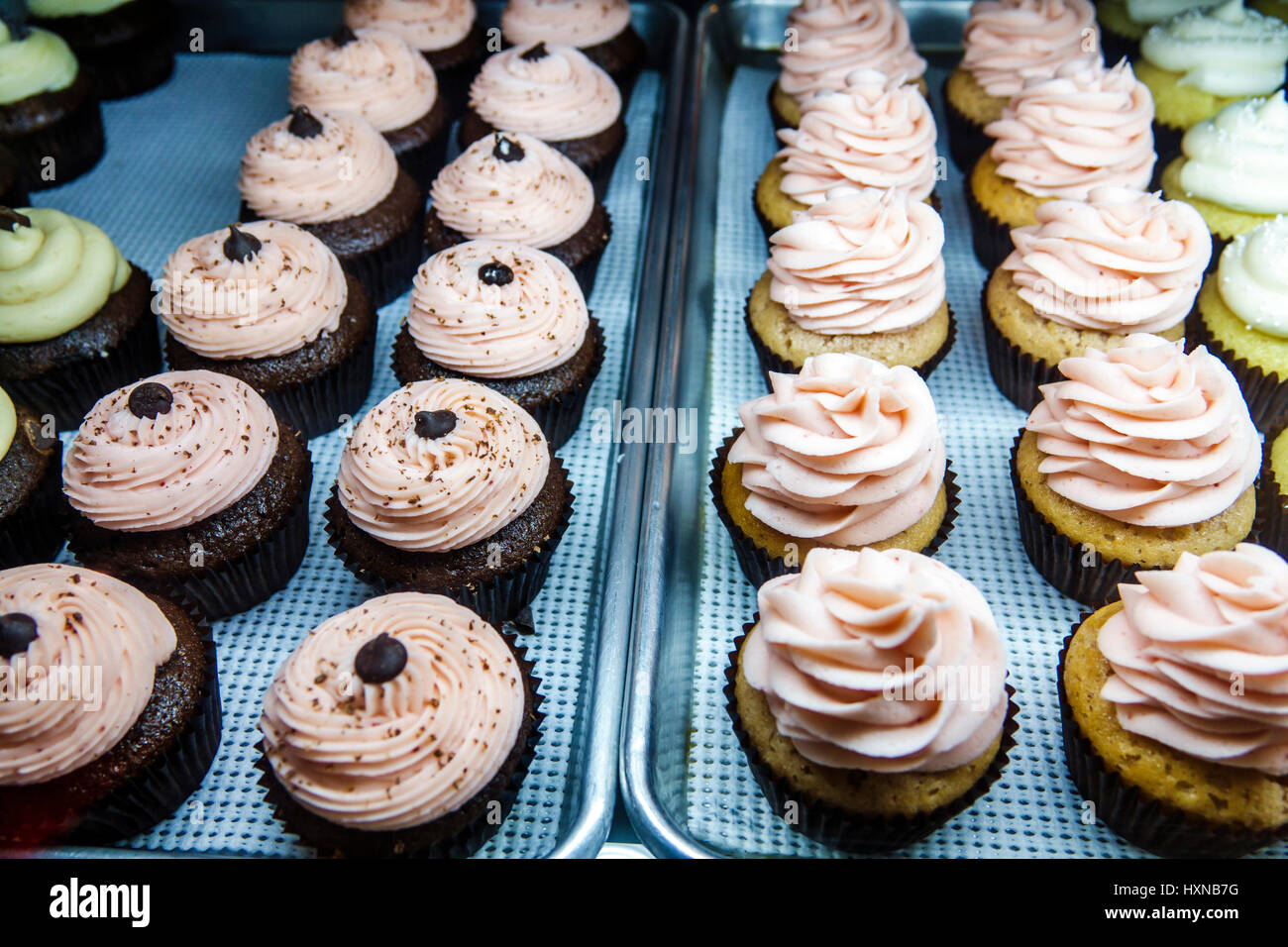 Orlando Florida, Pom Pom's Teehaus & Sandwicheria, Kaffeehaus, Café, Bäckerei, Cupcakes, Ausstellungsverkauf FL170222046 Stockfoto