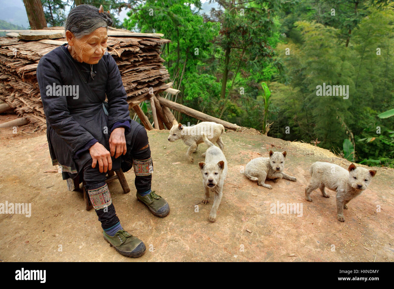 GUIZHOU PROVINZ; CHINA - APRIL 10: eine alte chinesische Frau im grünen Turnschuhe, sitzt vor seinem Haus umgeben von schmutzig, Beige Welpen, Degen Stockfoto