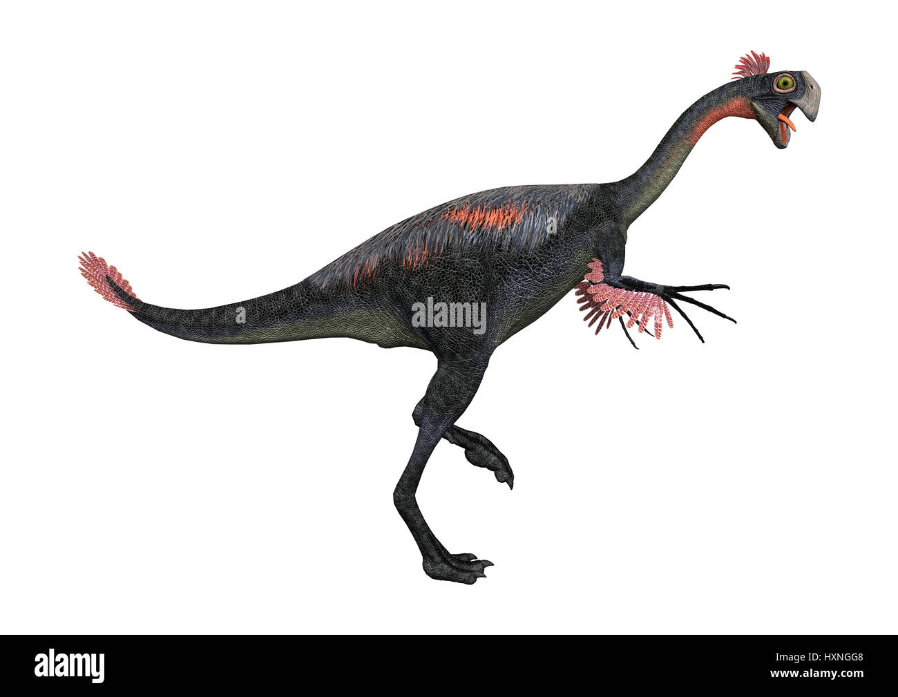 3D Rendering von einem Dinosaurier Gigantoraptor isoliert auf weißem Hintergrund Stockfoto