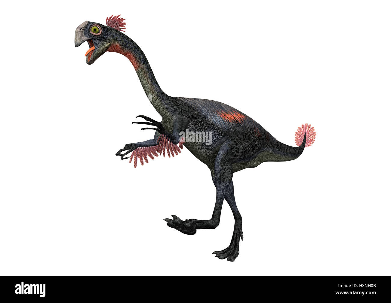 3D Rendering von einem Dinosaurier Gigantoraptor isoliert auf weißem Hintergrund Stockfoto