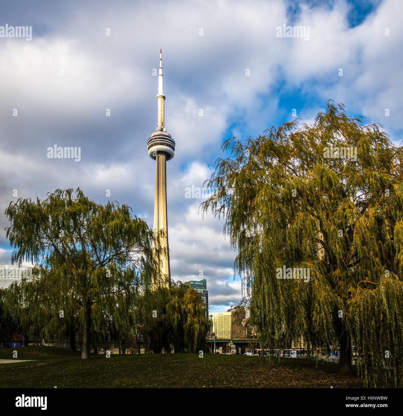 CN Tower zwischen der Vegetation des Harbourfront - Toronto, Ontario, Kanada Stockfoto