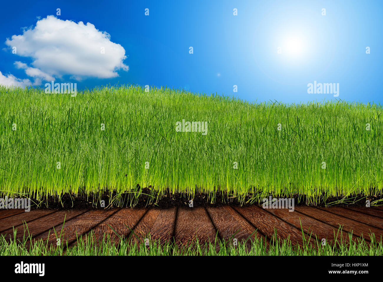 jetty Holzbohlen vor hügeligen grünen Rasen Frühling Landschaft vor sonnigen blauen Himmel, Stockfoto