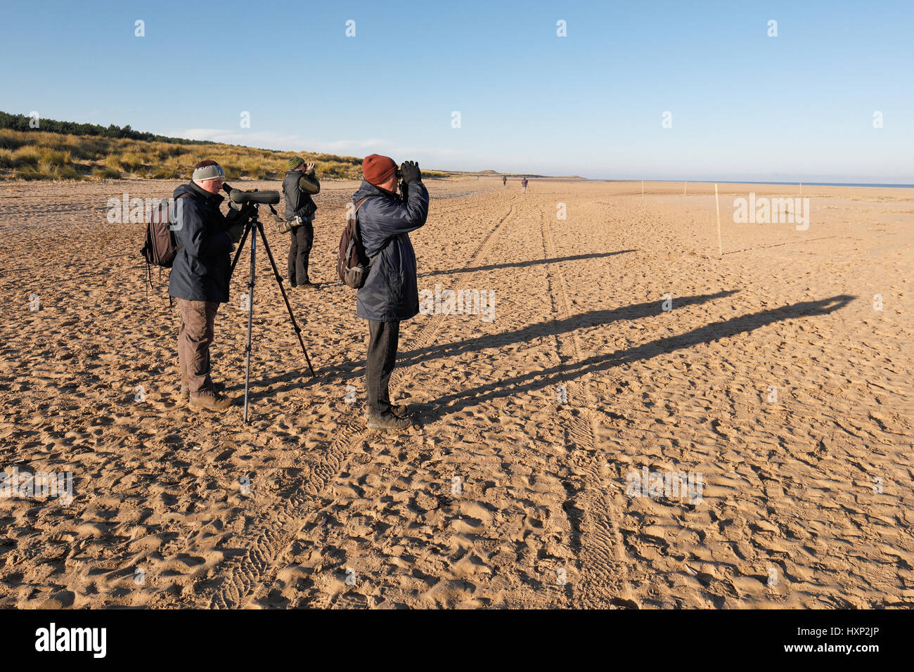 Vogelbeobachter am Holkham Beach in Norfolk Stockfoto