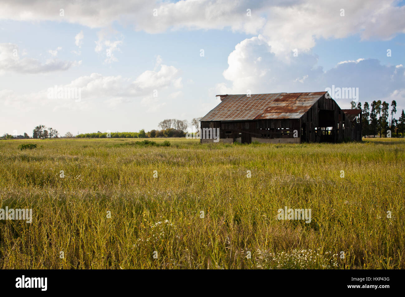 Alte rustikale Land Scheune mit grüner Wiese und schönen blauen wolkenverhangenen Himmel Stockfoto