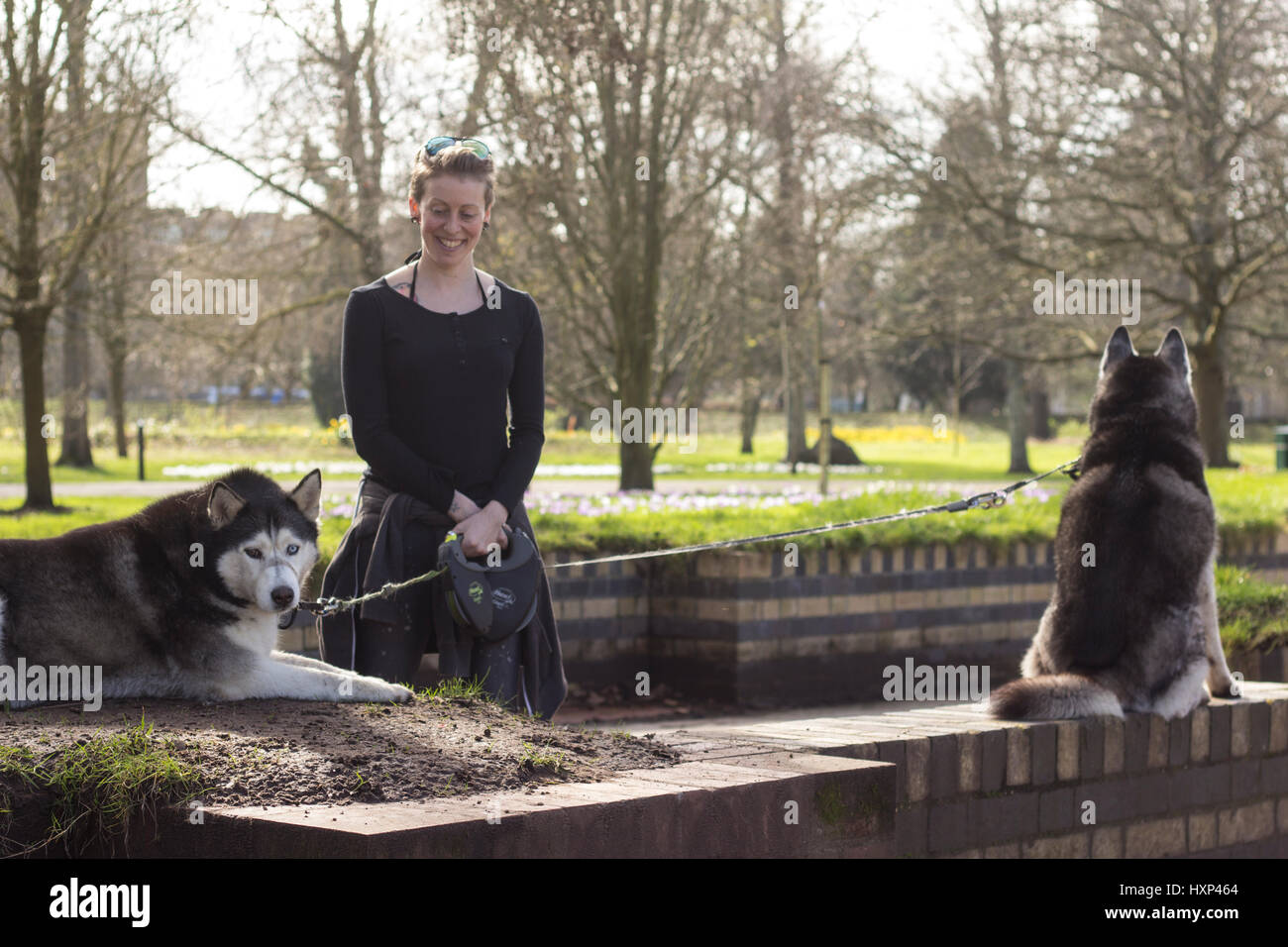 Angharad Griffin, 37, eine Näherin, mit ihren zwei Siberian Husky Indien und Ta. Eine Dogwalker im Bute Park, Cardiff, Wales. Hundebesitzer in Cardiff wer Stockfoto