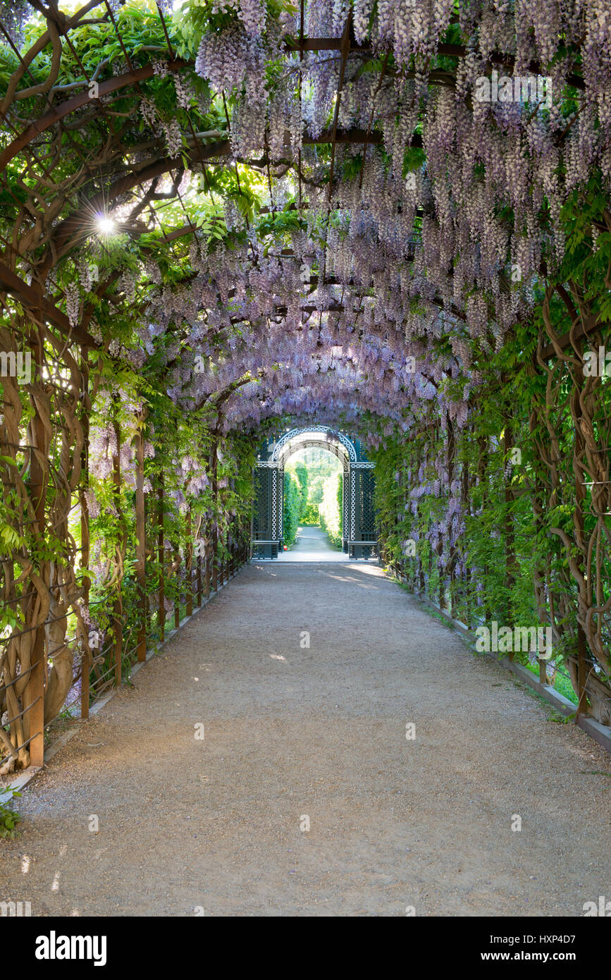 Schloss Schönbrunn, WienÖsterreich Stockfotografie Alamy