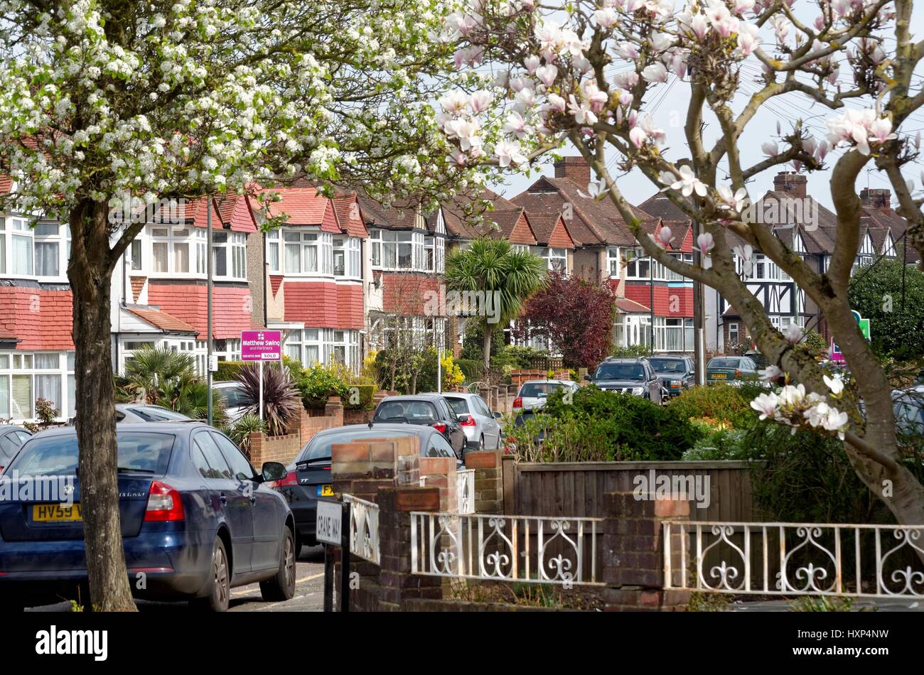 Halb freistehendes Häuser in Kran Weg Whitton Twickenham West London UK Stockfoto