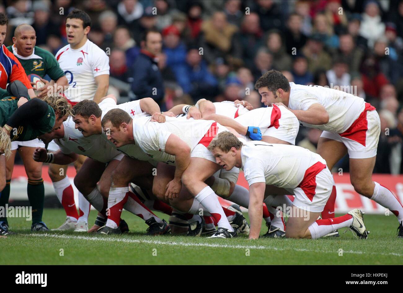 PAYNE MEARS & TOM REES ENGLAND V Südafrika TWICKENHAM MIDDLESEX ENGLAND 22. November 2008 Stockfoto