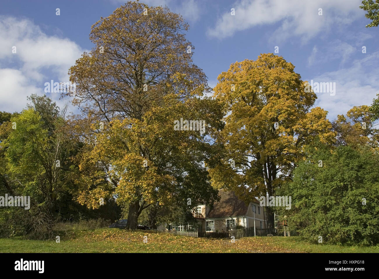 Herbstliche von farbigen Laubbäumen in Masuren Polen, Herbstlich Verfärbter Laubbäume in Masuren Polen Stockfoto