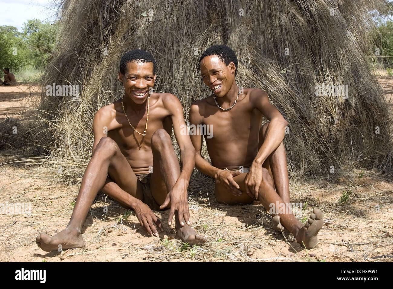 Buschmann M? Nner sitzen vor ihren Tratitionelen Rasen bedeckten Hütten. Namibia, Buschmann Männer einer Vor Ihren Tratitionelen Grasbedeckten Hütten. Namibi Stockfoto