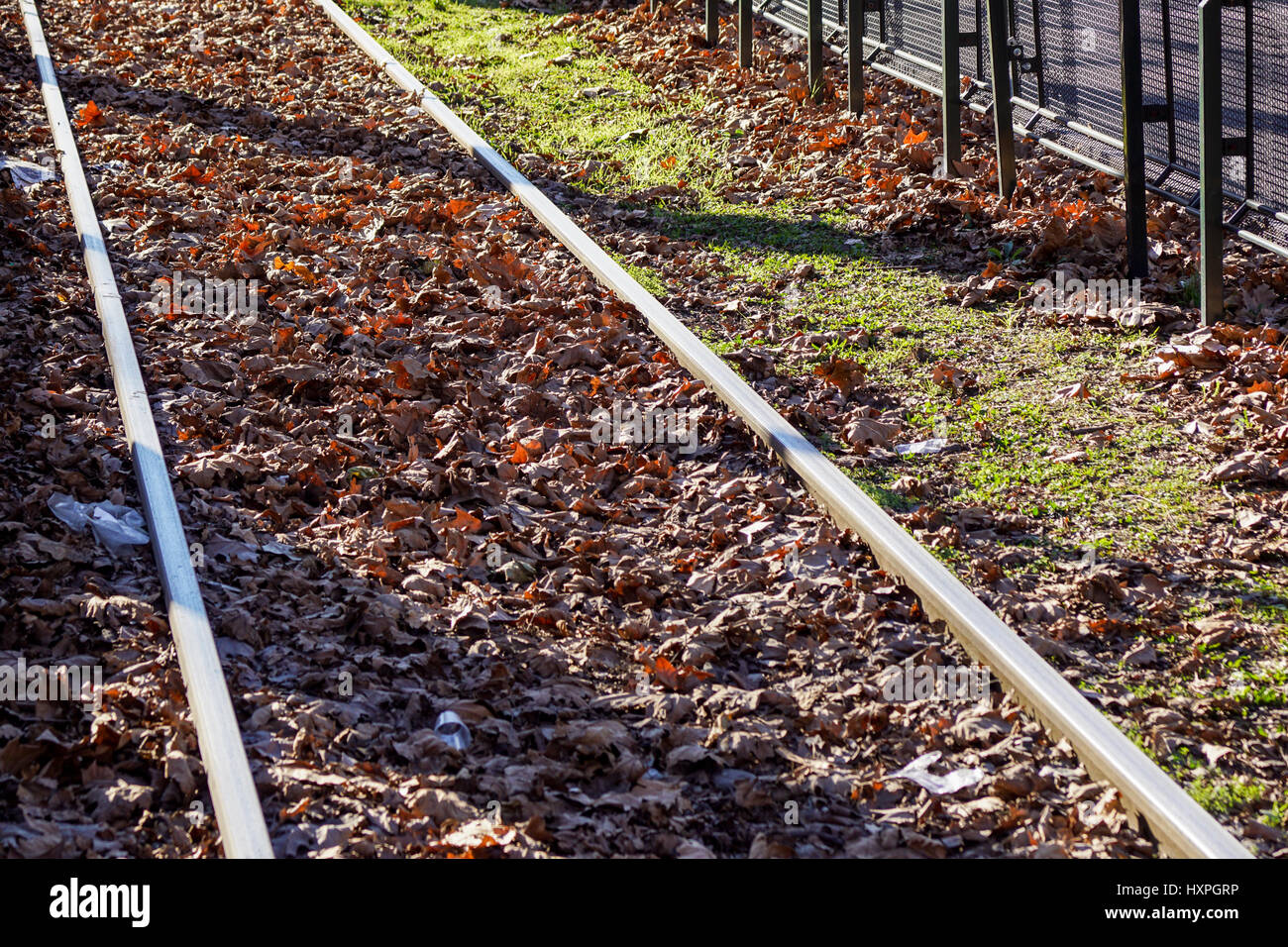 Eisenbahnschienen Schnitt durch die herbstlichen Wälder in Blue Ridge, Georgien Stockfoto