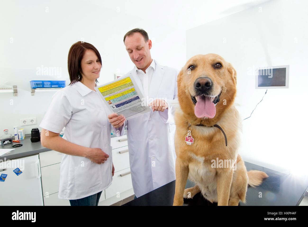 Tierarzt und Assistenten lesen Sie Dokumente (Mr), Tierarzt Und Assistentin Lesen Lehransätzen (Mr) Stockfoto