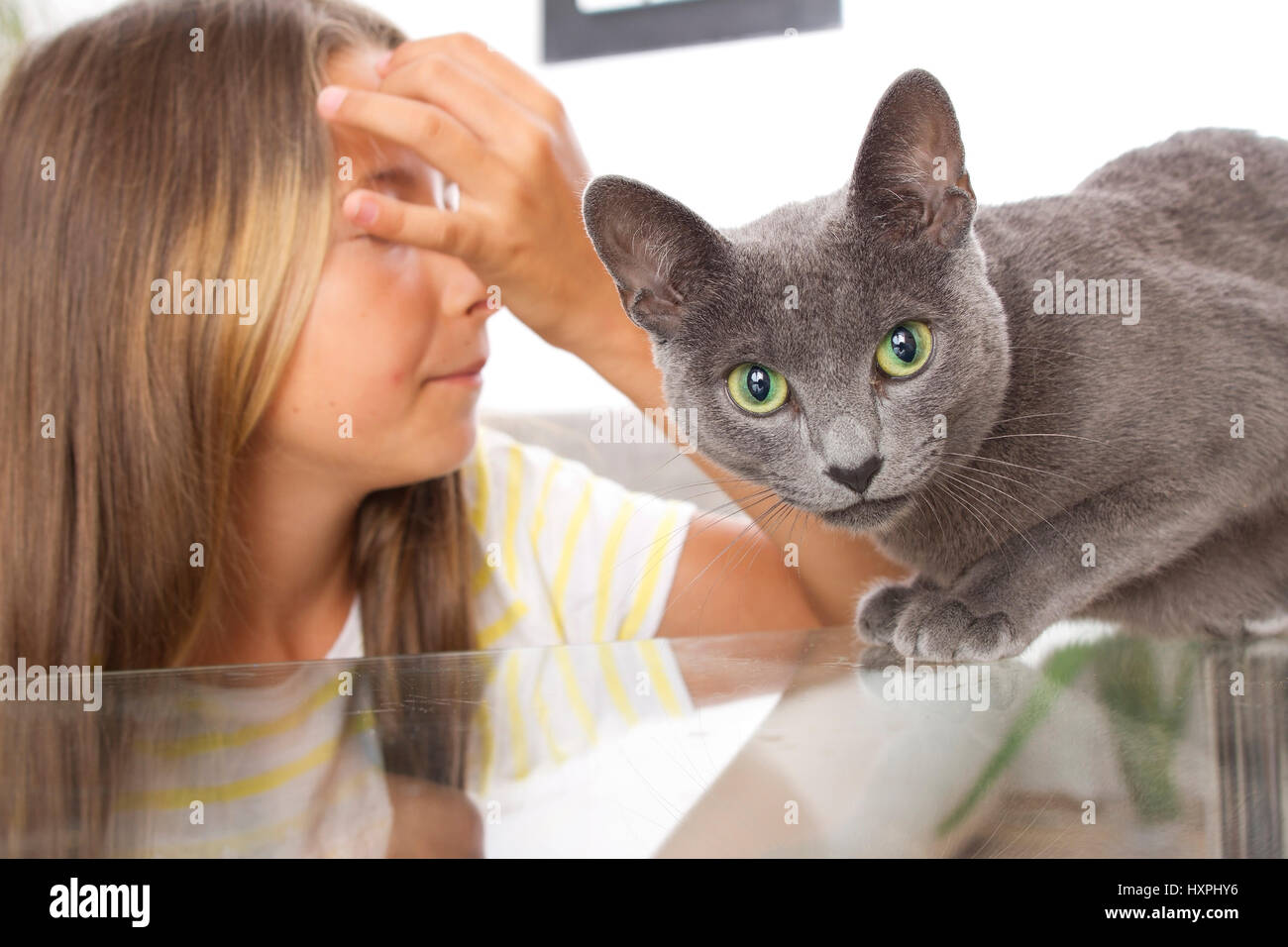 Mädchen hat Ablehnung gegen Katzen, Mädchen Hut Ablehnung Gegen Katzen Stockfoto