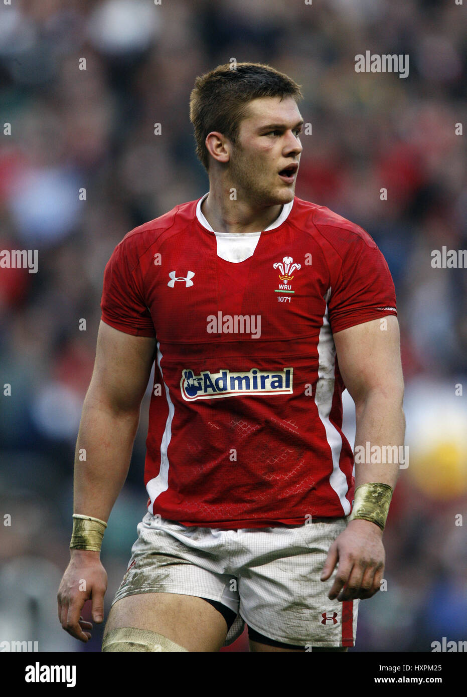 DAN LYDIATE WALES NEWPORT GWENT Drachen WALES & NEWPORT GWENT Drachen TWICKENHAM MIDDLESEX ENGLAND 25. Februar 2012 Stockfoto