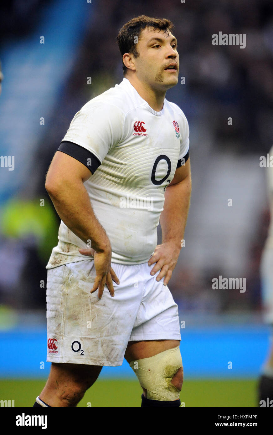 ALEX CORBISIERO ENGLAND NORTHAMPTON SAINTS ENGLAND & NORTHAMPTON SAINTS TWICKENHAM LONDON ENGLAND 9. November 2013 Stockfoto