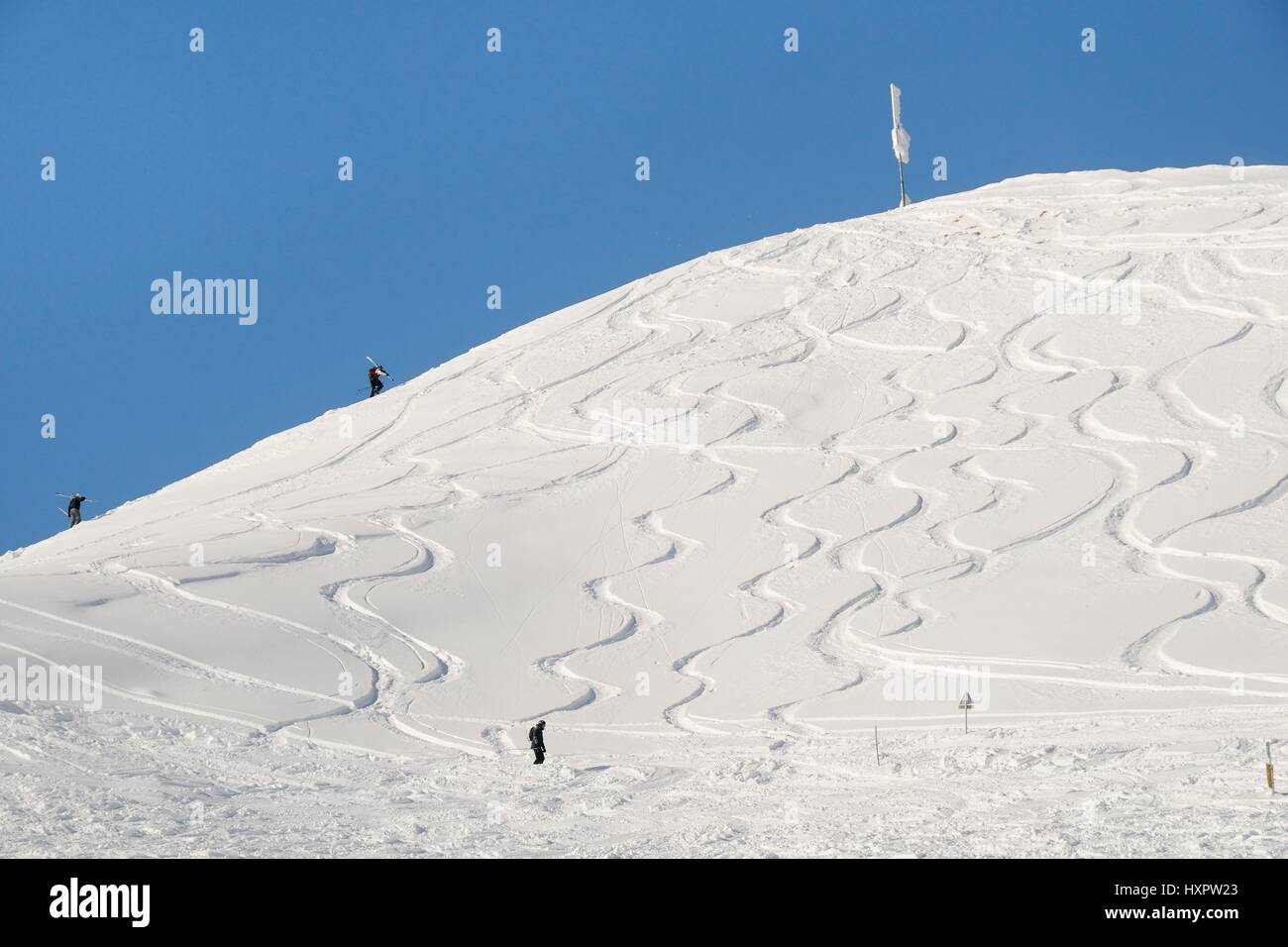 Skifahrer und geschnitzten Spuren hinterlassen in frischen abseits der Piste Schnee, Hauteluce / Les Contamines Skigebiet, Savoie, Frankreich, Februar. Stockfoto