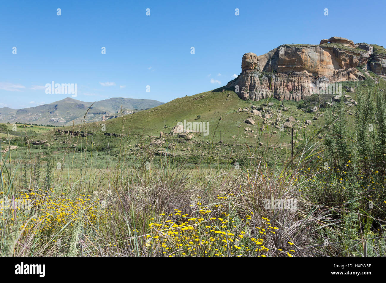 Brandwag Buttress, Golden Gate Highlands National Park, Free State Provinz, Republik Südafrika Stockfoto