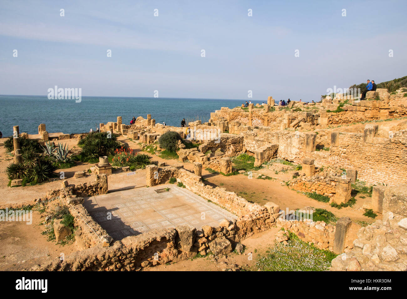 Tipaza oder Tipasa, war eine alte phönizische Handelsposten im 2BC, eines ihrer wichtigsten strategischen Grundlagen in Afrika werden von Rom erobert.  Heute, Tipaza Stockfoto