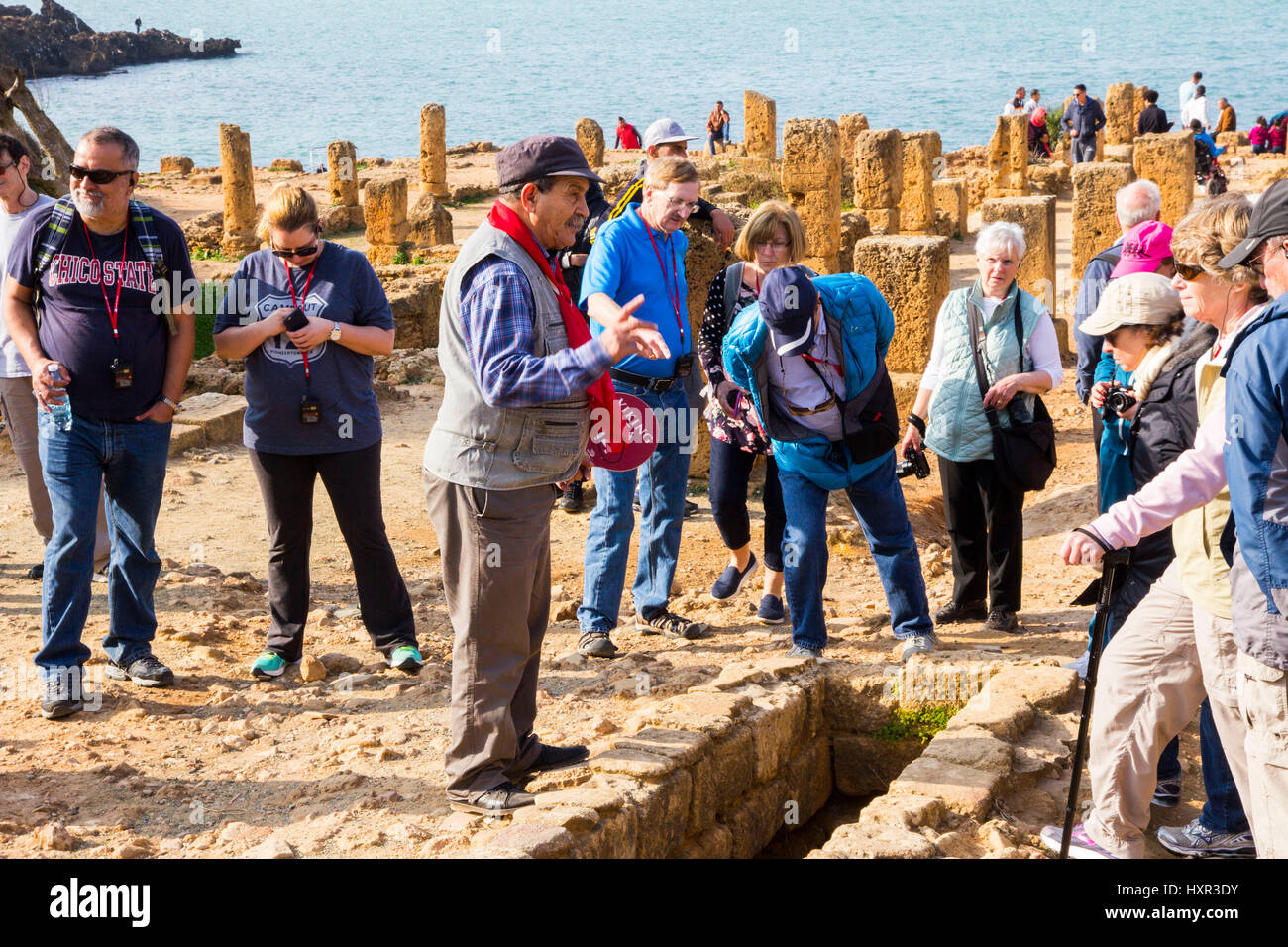 Welche Beschilderung gibt es im archäologischen Park Tipaza/Tipasa in französischer Sprache, scheint also für Englisch sprechende Besucher, eine geführte Tour durch diese bemerkenswerte Anci Stockfoto