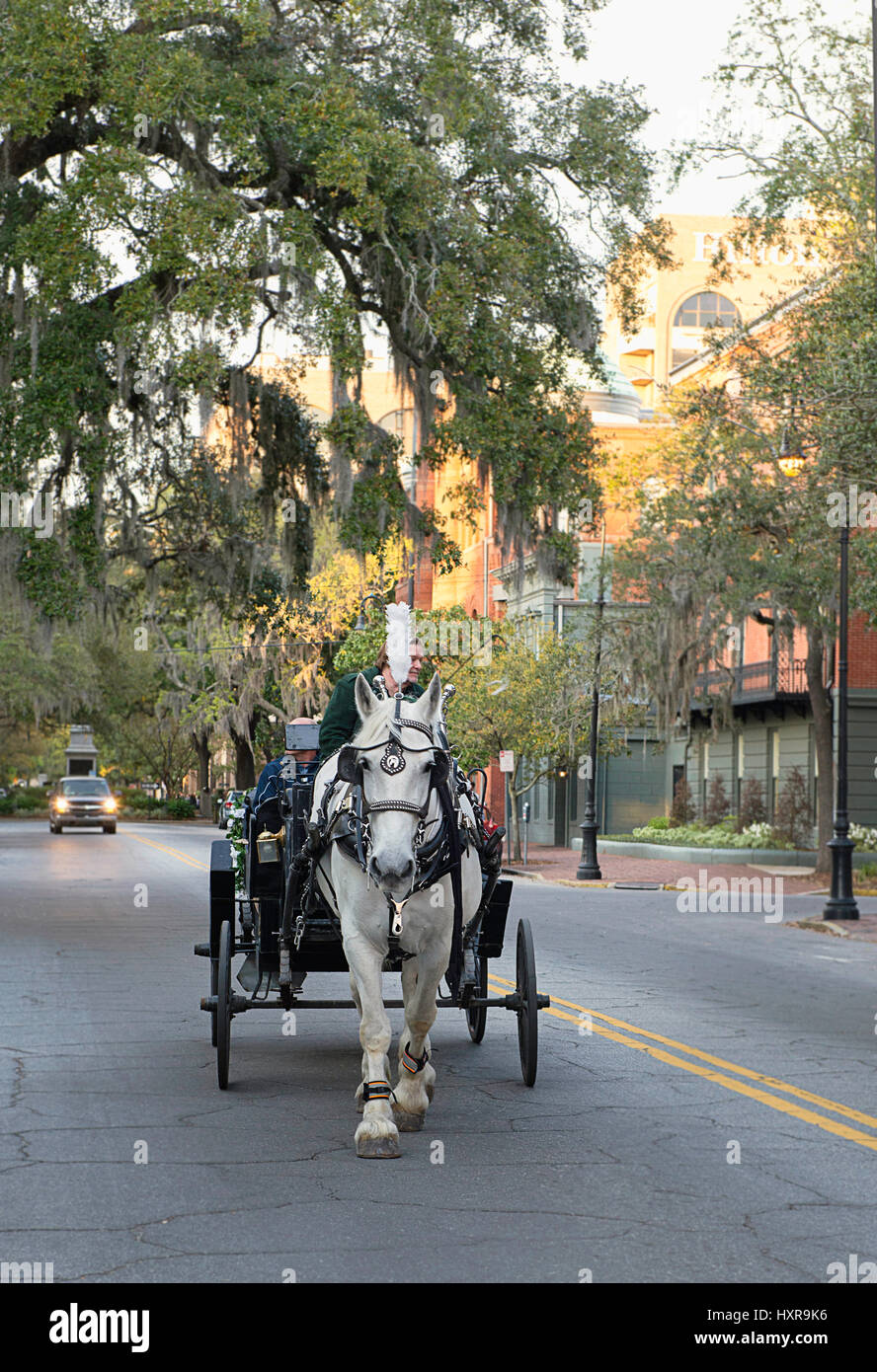 Ein Pferd Ziehen einer Kutsche durch die historische Altstadt von Savannah, Georgia. Stockfoto