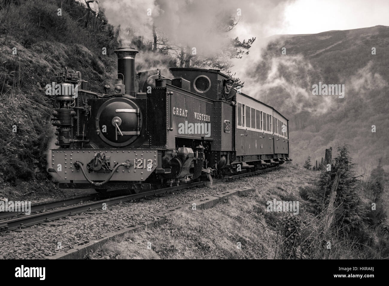 Vale des Rheidol Stockfoto