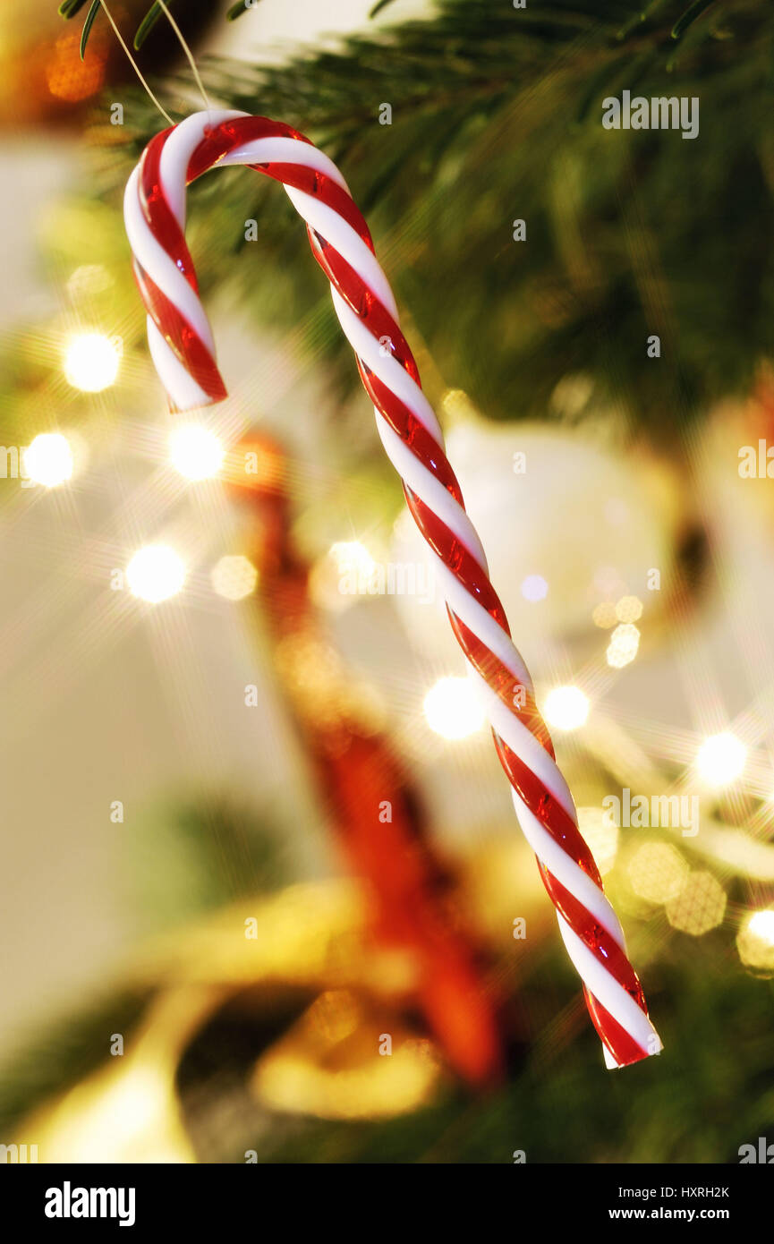 Stock des Felsens als Weihnachtsdekoration in einen Weihnachtsbaum, Zuckerstange als Weihnachtsschmuck ein Einem Weihnachtsbaum Stockfoto