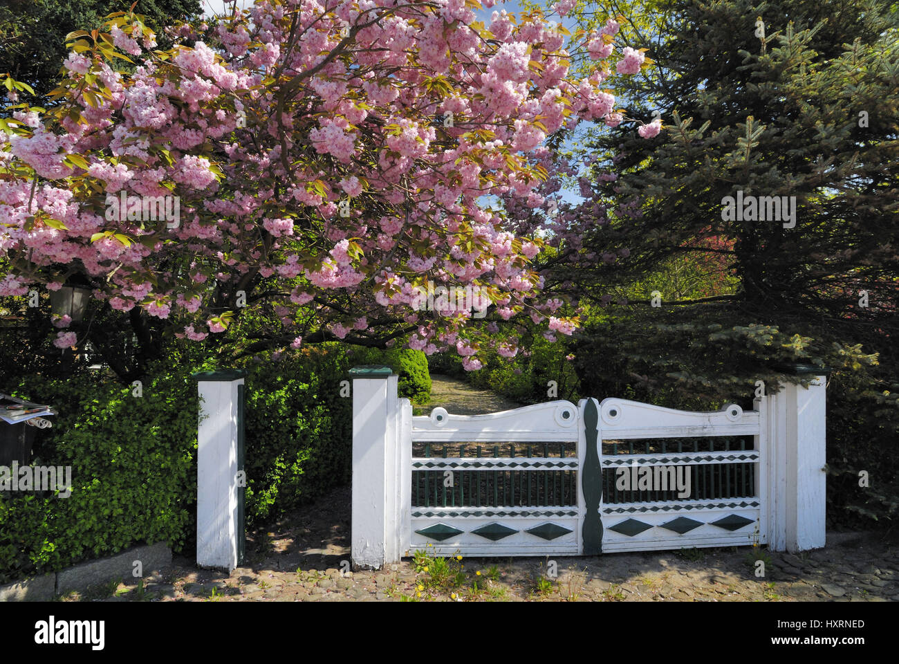 Deutschland, Europa, Hamburg, 4 Land, Landung, 4, 4, und sumpfige Land, Curslack, Stadt, Städte, während des Tages, Hamburger, Landfläche, Bäume, Baum, s Stockfoto