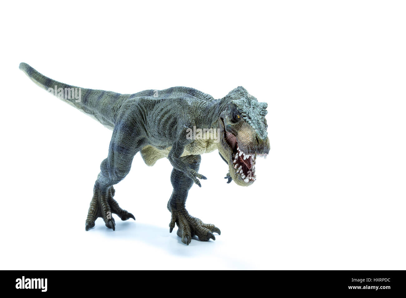 Grün Jurassic Dinosaurier Tyrannosaurus Rex mit offenem Mund laufen in Angriffsposition - weißer Hintergrund Stockfoto