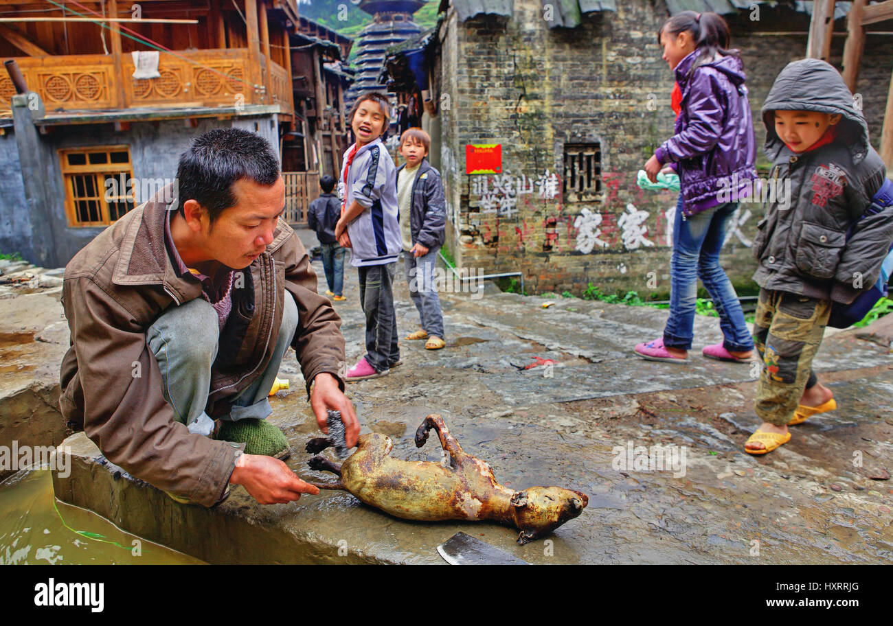 Zengchong Dorf, Guizhou, China - 13. April 2010: ländliche China, vor dem Essen Hund, Kadaver, Ausweiden, Zengchong Dorf, Guizhou, zerschneiden Stockfoto