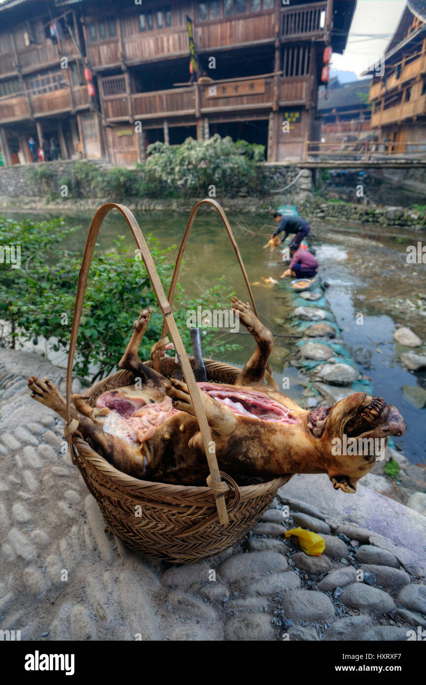Zhaoxing Dong Dorf, Guizhou Provinz, China - 9. April 2010: Der Körper eines Hundes getötet für Nahrung, es wurde entkernt und in einen Weidenkorb gelegt. Stockfoto