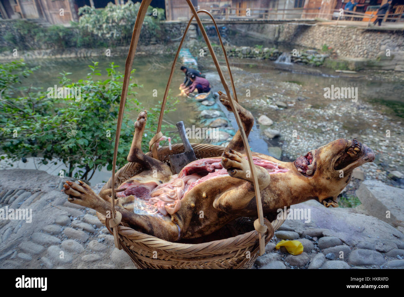 Zhaoxing Dong Dorf, Guizhou Provinz, China - 9. April 2010: Karkasse geschlachtet und ausgeweidet Hund ist in einem Weidenkorb in der Nähe des Flusses. Stockfoto