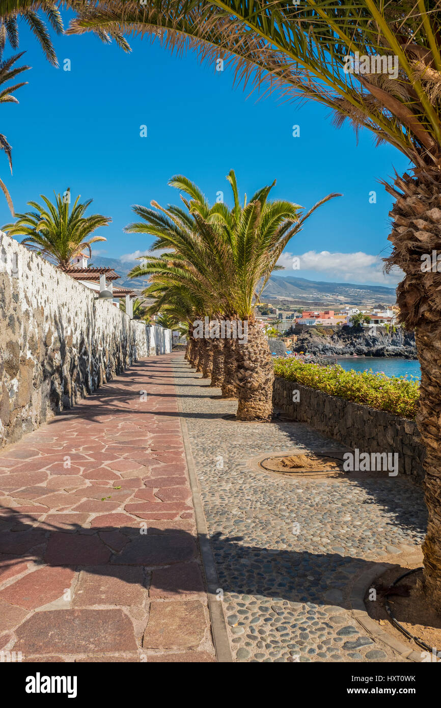 Sonnigen Promenade im schönen Teneriffa am Meer Dorf von Alcala auf den Kanarischen Inseln mit Palmen gesäumten Stockfoto