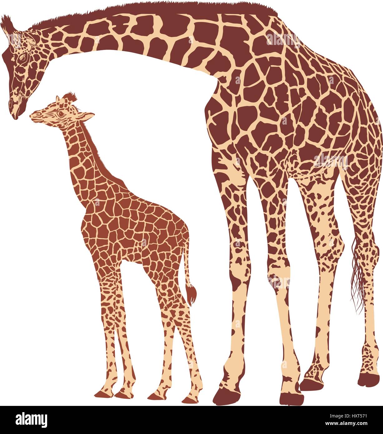 Erwachsenen Giraffe und Baby-giraffe Stock Vektor