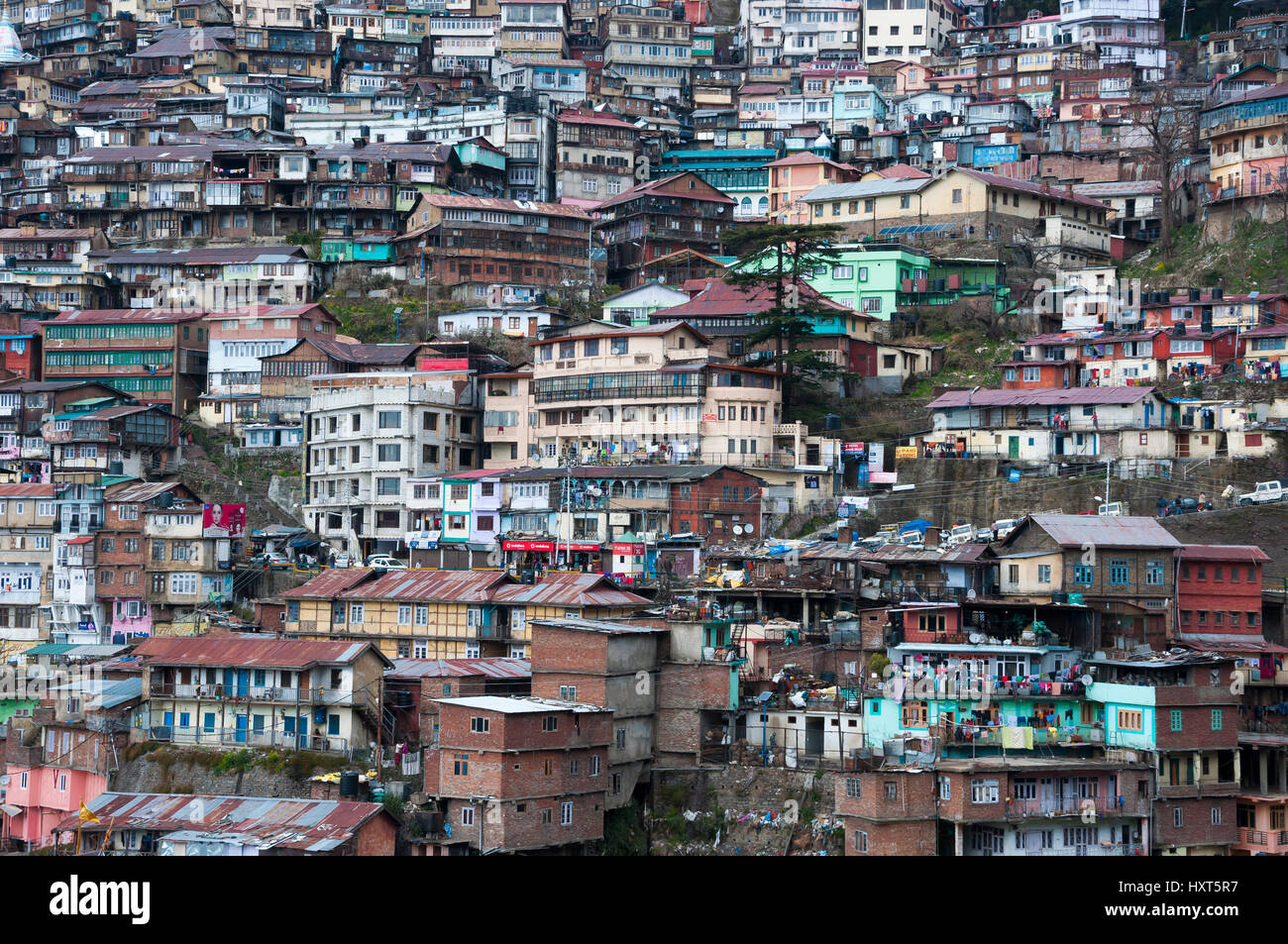 Überfüllten Wohnungen am Hang in Shimla, Himachal Pradesh, Indien. Stockfoto