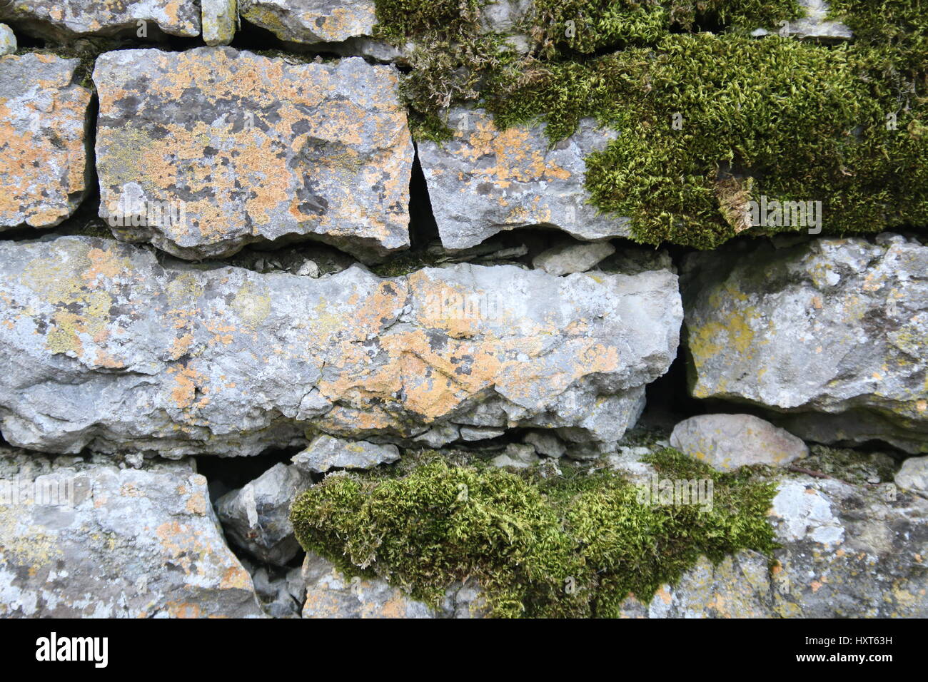 Natursteinmauer mit vielen Moos drauf Stockfoto