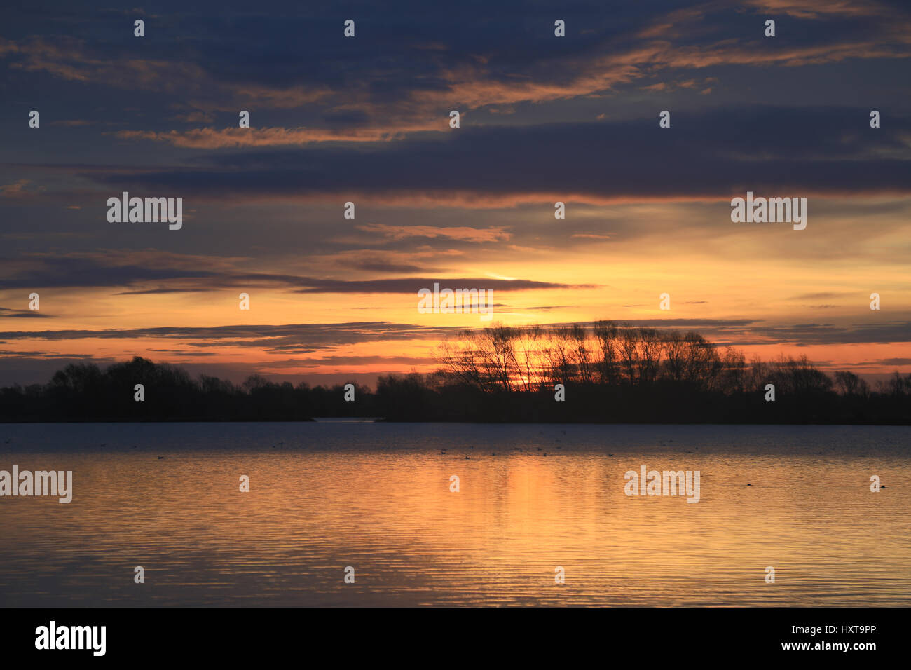 Fen Drayton Seen, Cambridgeshire, Großbritannien. Donnerstag, 30. März 2017. UK-Wetter: schönen Frühlingswetter mit warmen sonnigen Abschnitten im Osten Englands. Sonnenaufgang über dem Moor Drayton Seen, Cambridgeshire, Großbritannien Credit: WansfordPhoto/Alamy Live-Nachrichten Stockfoto