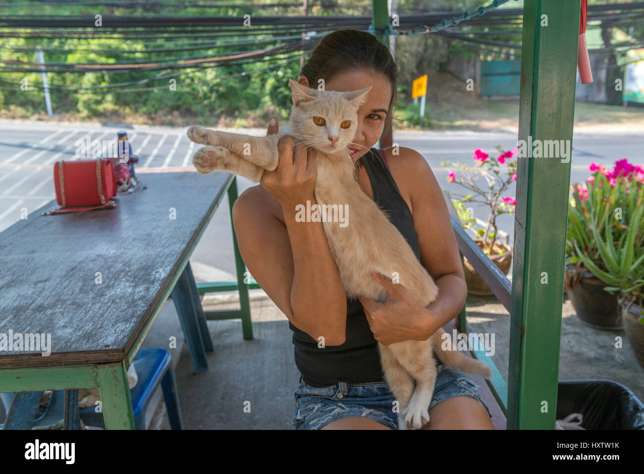 Eine Thai Dame hält eine Katze in Phuket, Thailand. 9. März 2017 Stockfoto