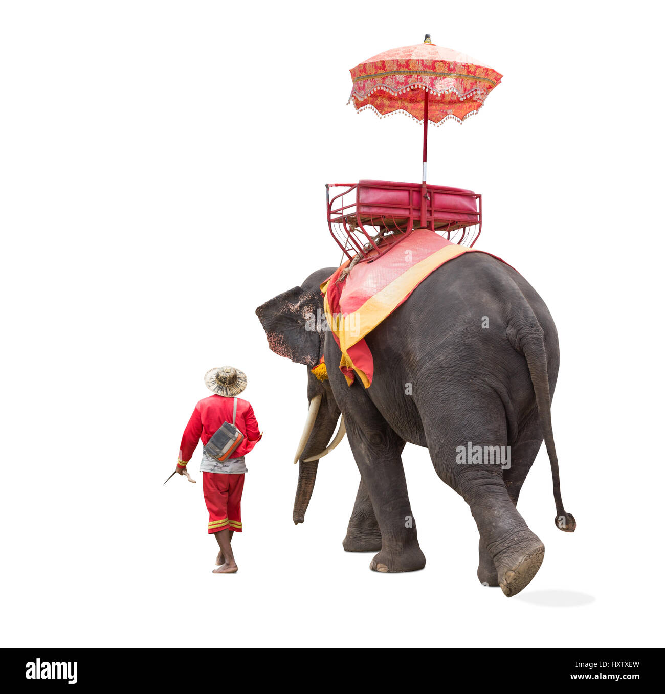 Rundgang durch die antike Stadt in Ayutthaya Thailand Elefantenritt für Touristen. isoliert auf weißem Hintergrund mit Beschneidungspfad Stockfoto