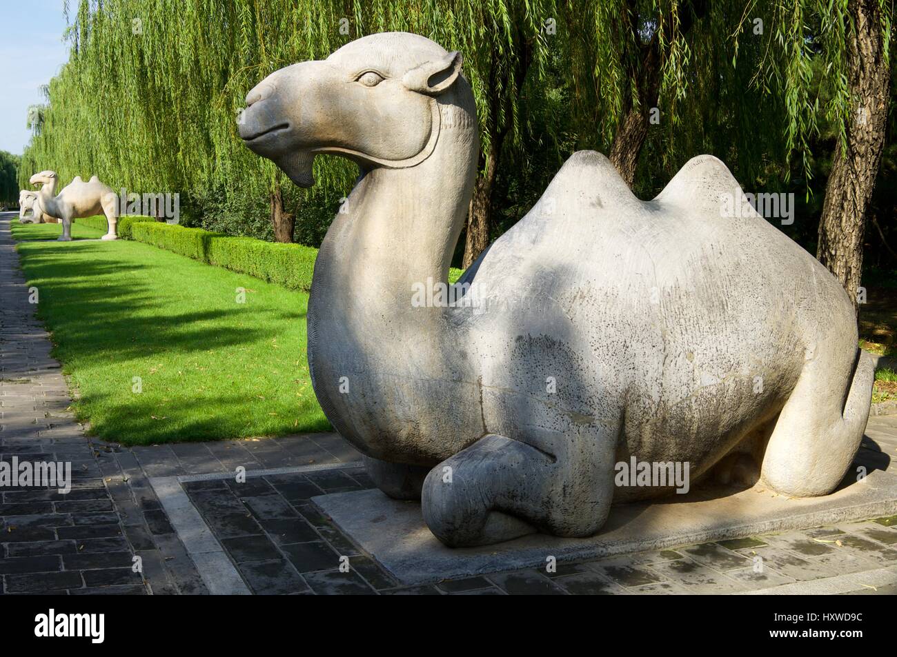 Statue eines stehenden Kamels in der allgemeinen Heiligen Weg die Ming-Gräber. Es wurde zwischen 1435 und 1540 errichtet. Shisanling, Peking, China Stockfoto