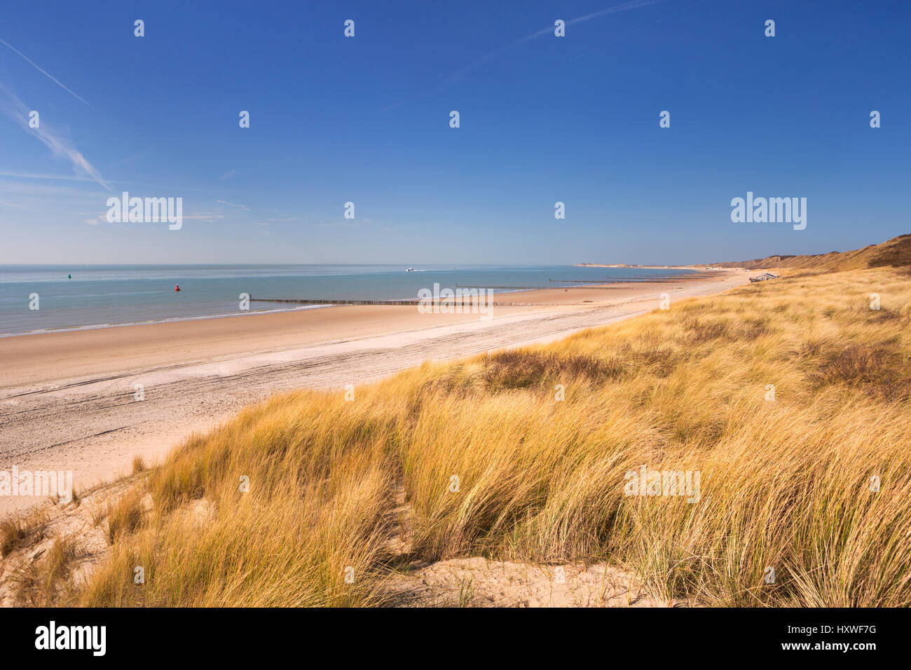 Dünen an der Küste von Dishoek in Zeeland, Niederlande. Stockfoto