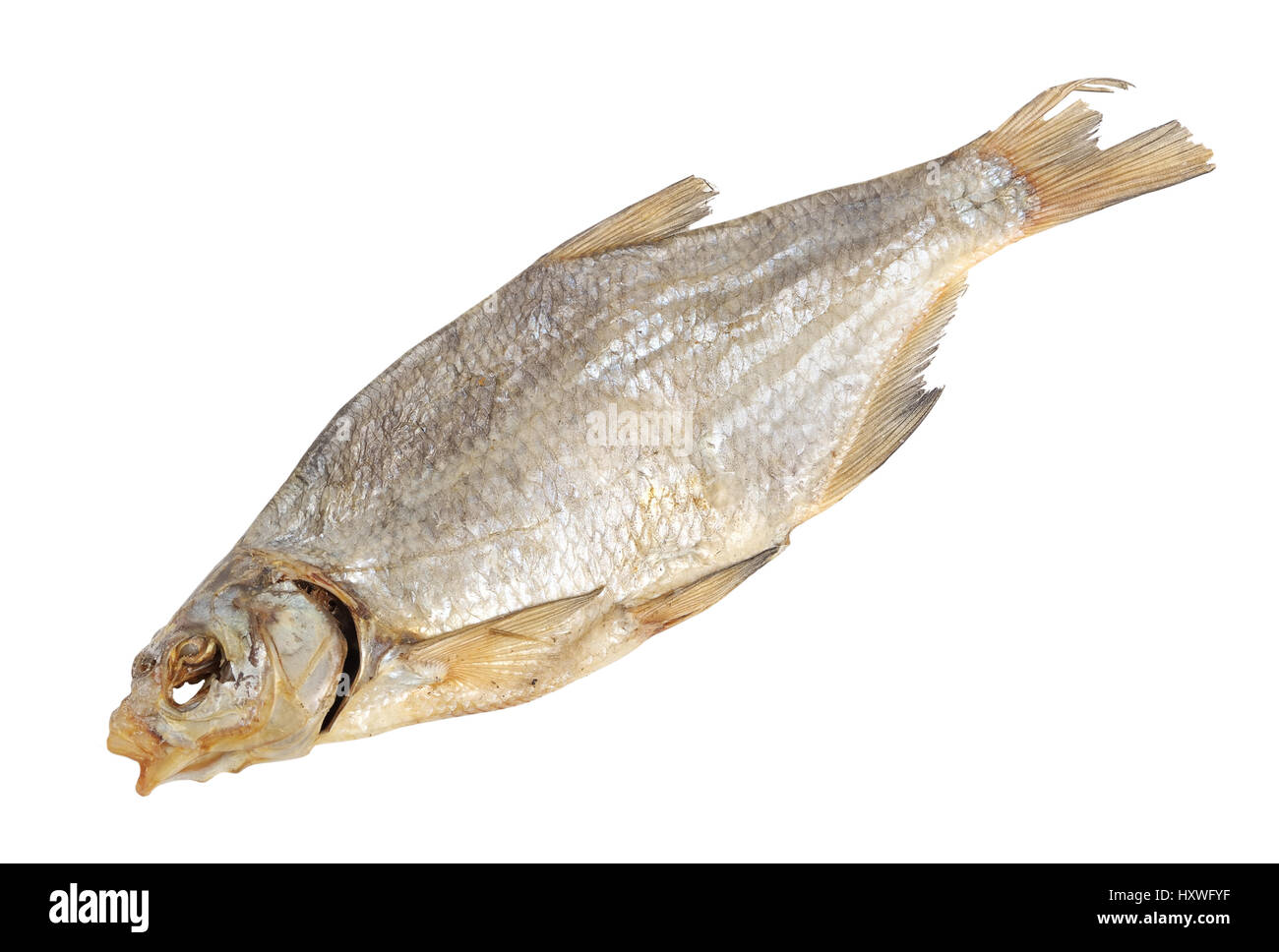 Getrocknete Fische isoliert auf weißem Hintergrund Stockfoto